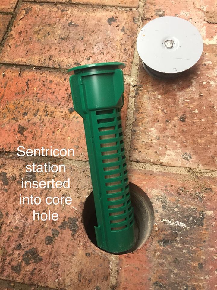 sentricon termite bait stations