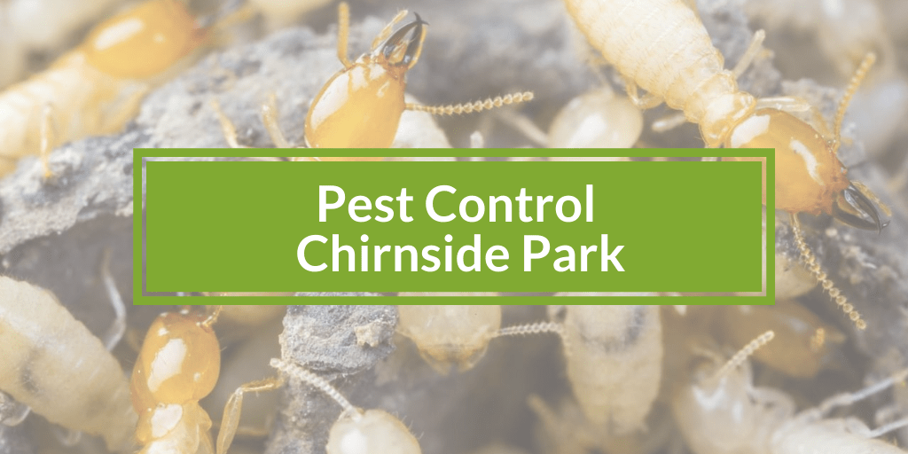 Pest Control Chirnside Park