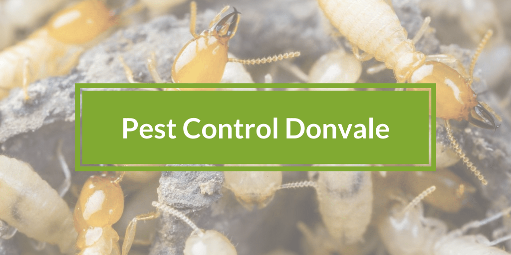 Pest Control Donvale