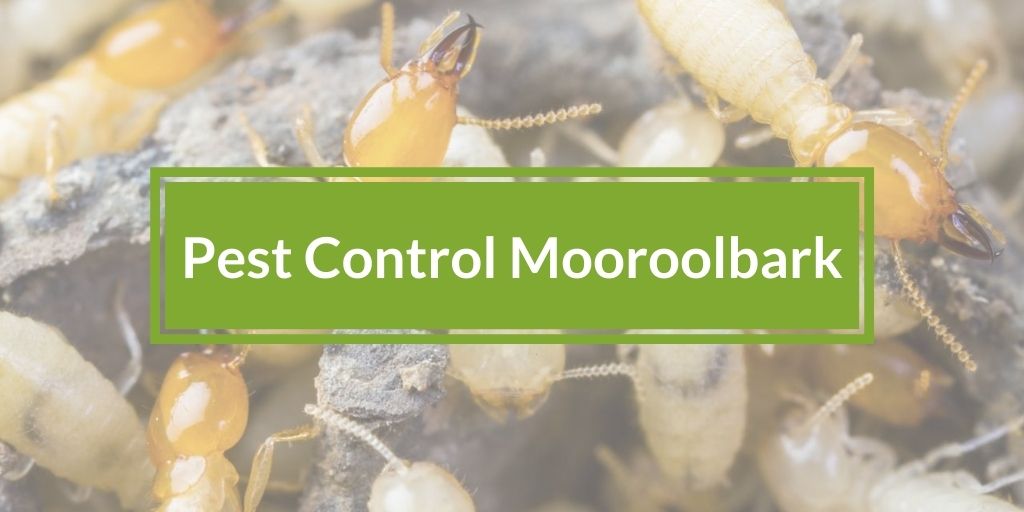 Pest Control Mooroolbark