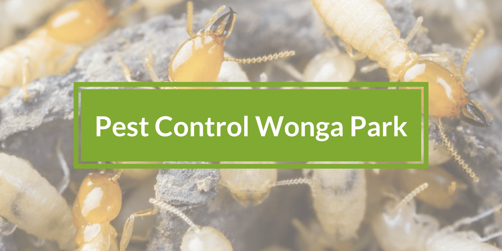 Pest Control Wonga Park