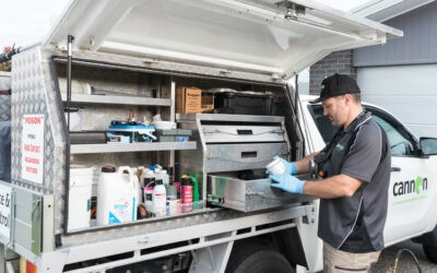 The Best Termite Treatment Options & How Long They Last